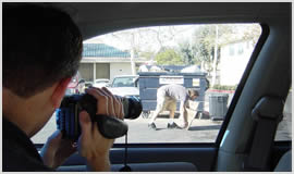 Private Detective and Investigators in Hull